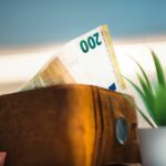 Close-up of a leather wallet holding euro banknotes next to a small plant, symbolizing savings.